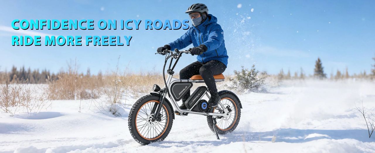 Pamila E3 Electric Bike - Image 5