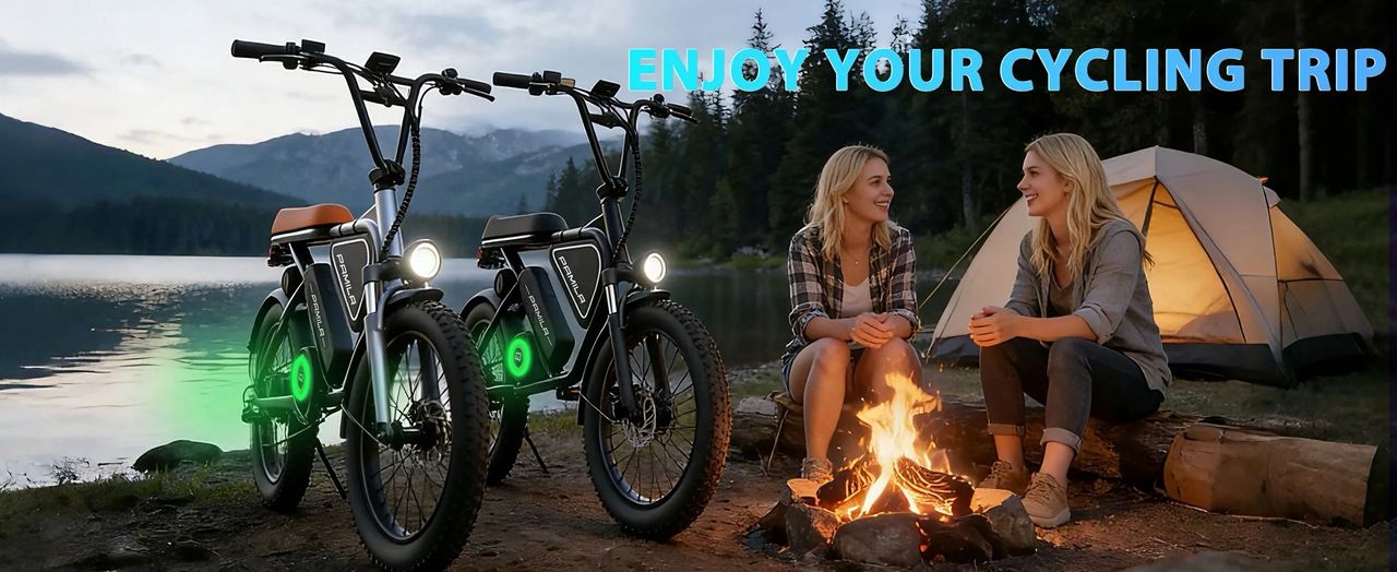 Pamila E3 Electric Bike - Image 6