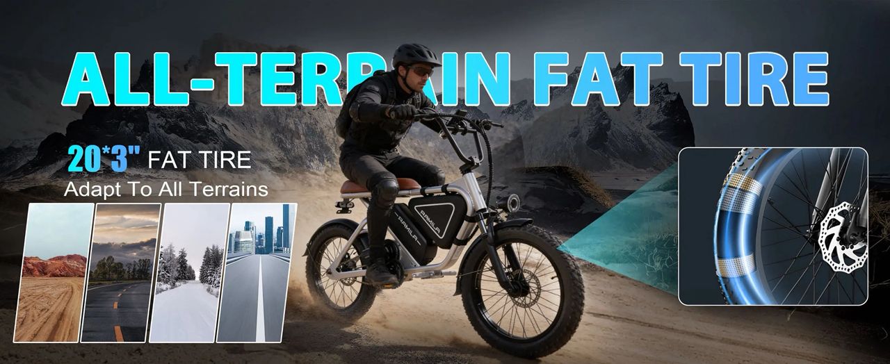 Pamila E3 Electric Bike - Image 8