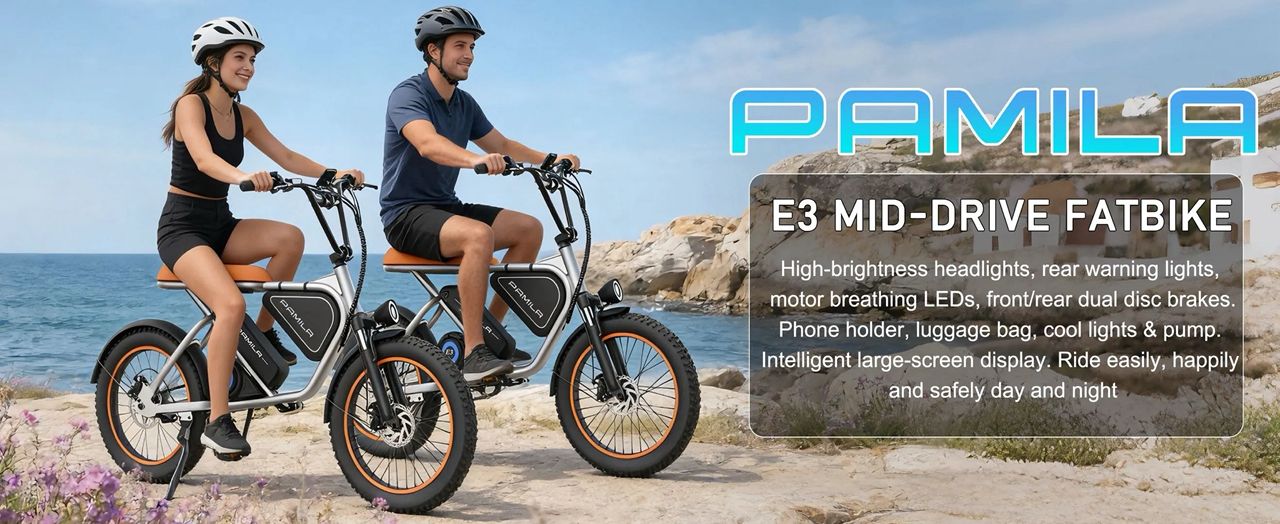Pamila E3 Electric Bike - Image 11