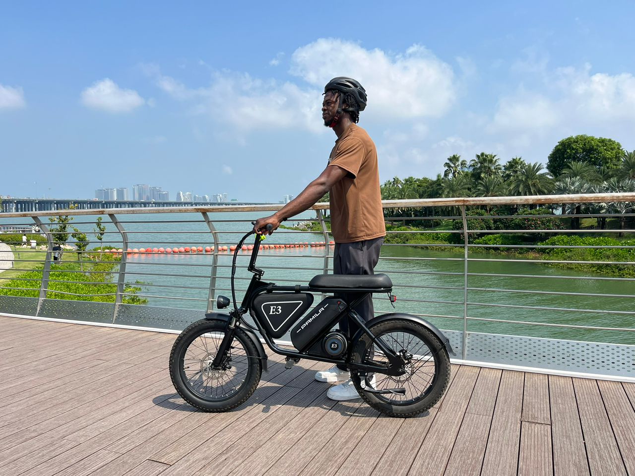 Pamila E3 Electric Bike - Image 21